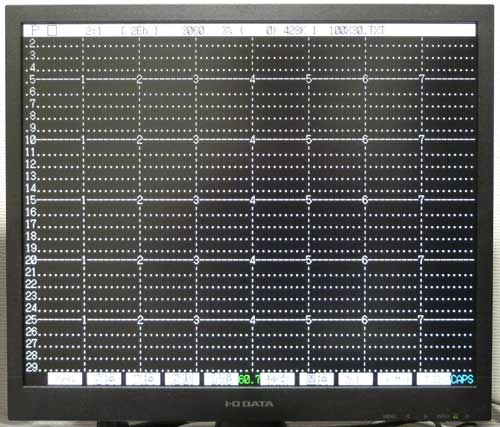 LCD-AD191SEBに30行BIOSで30行出力をした場合（全行表示）